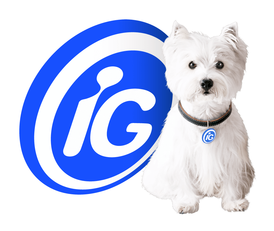 iG Economia